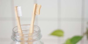 Two Toothbrushes in a jar