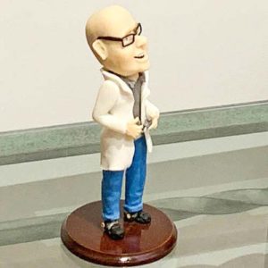 dr finkelstein model